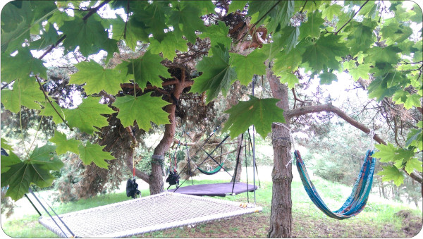 Salon suspendu sous les branches d'un arbre