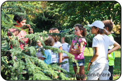 Intervenants en école primaire pour sortie découverte de l'arbre.